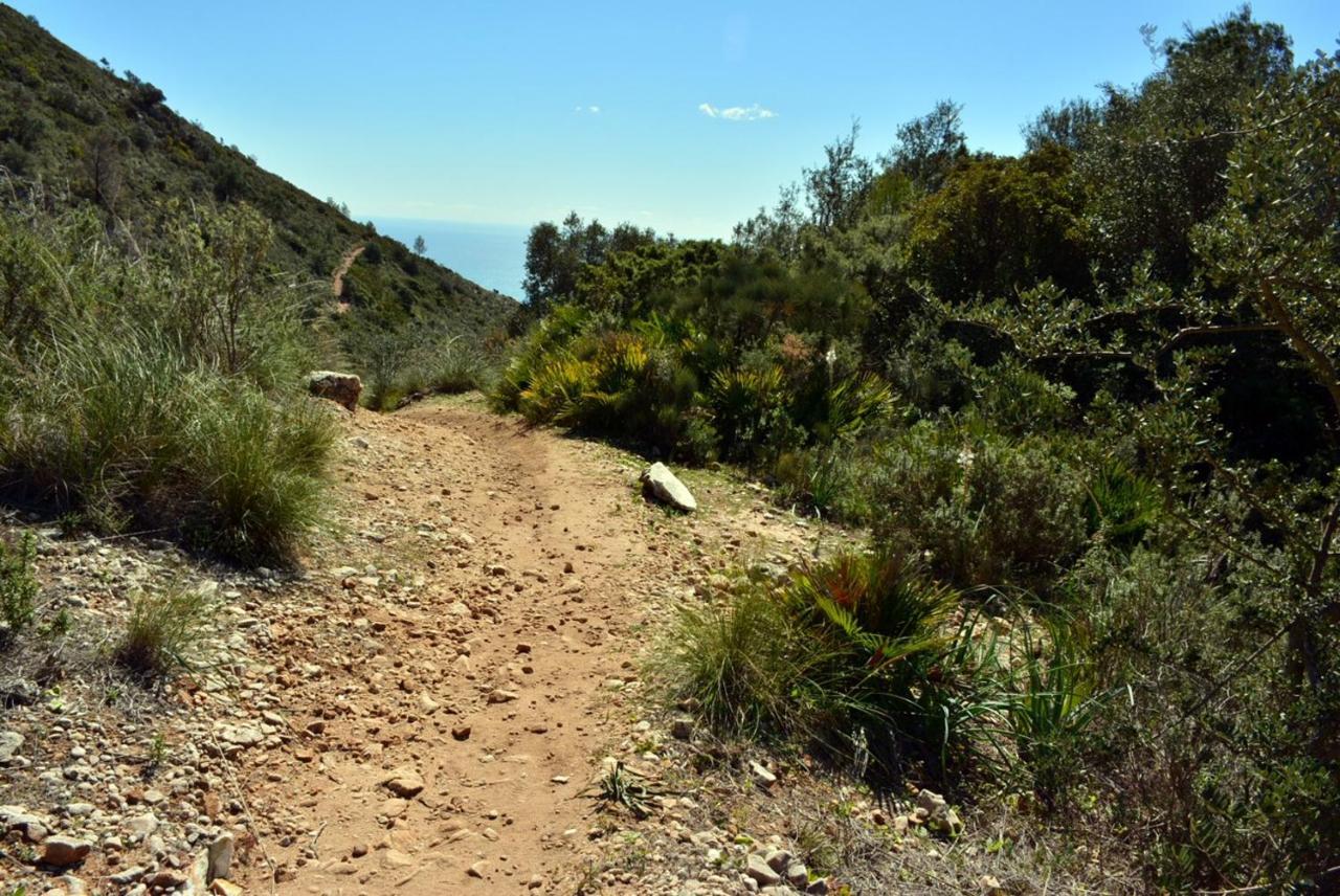 Atico Duplex Mar Y Montana Atalaya Daire Benalmádena Dış mekan fotoğraf